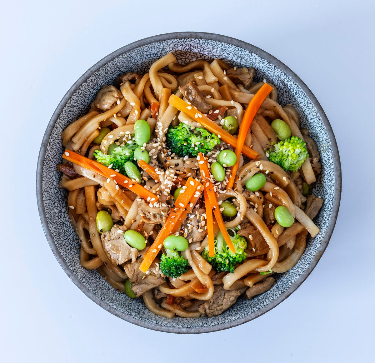 Bio Udon Nudeln